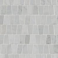 MSI Stone Carrara White Trapezoid Mosaic Backsplash SMOT-CAR-TRAP