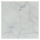 Soho Studio White Carrara "C" 12x12 Tile- WTCR12X12POL