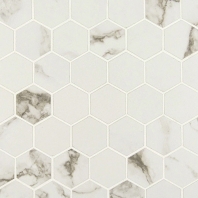 MSI Statuario Matte 2x2 Hexagon Tile