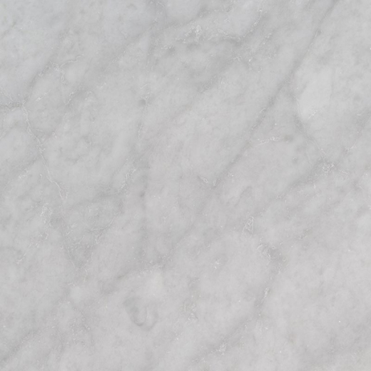 MSI Carrara White Honed Tile