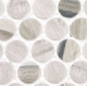 Pixels Dusted Ash Beige Wood Look Penny Round Tile PX781