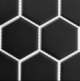 Freedom Avenue Pitch Raven 2" Hexagon Tile FDM1826