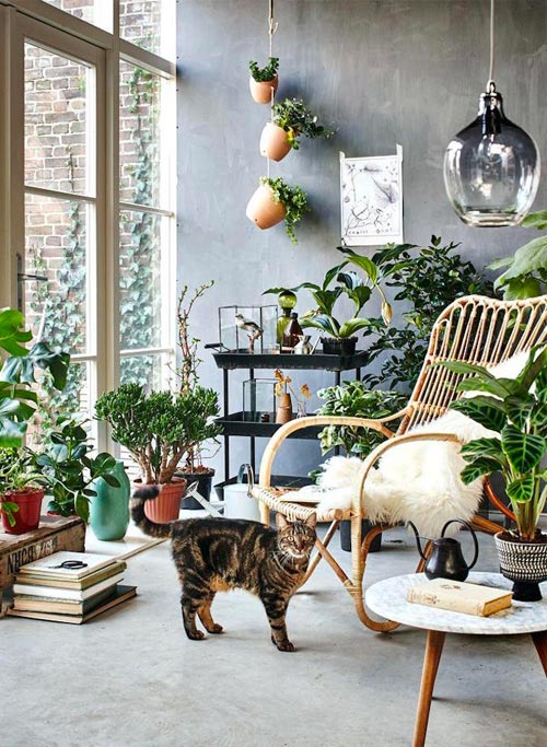 indoor-plant-garden-design