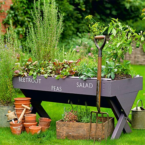 upcycle-small-vegetable-garden