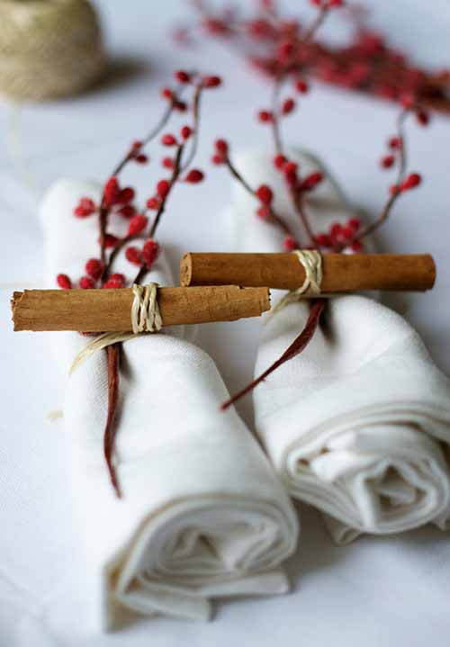 table-setting-holiday-winter-cinnamon-holly-berry
